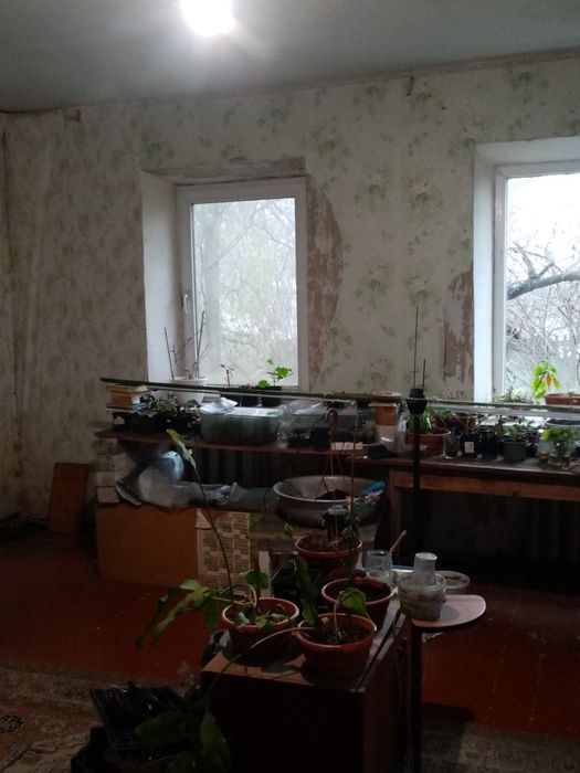 Продам дім в с. Піщанка