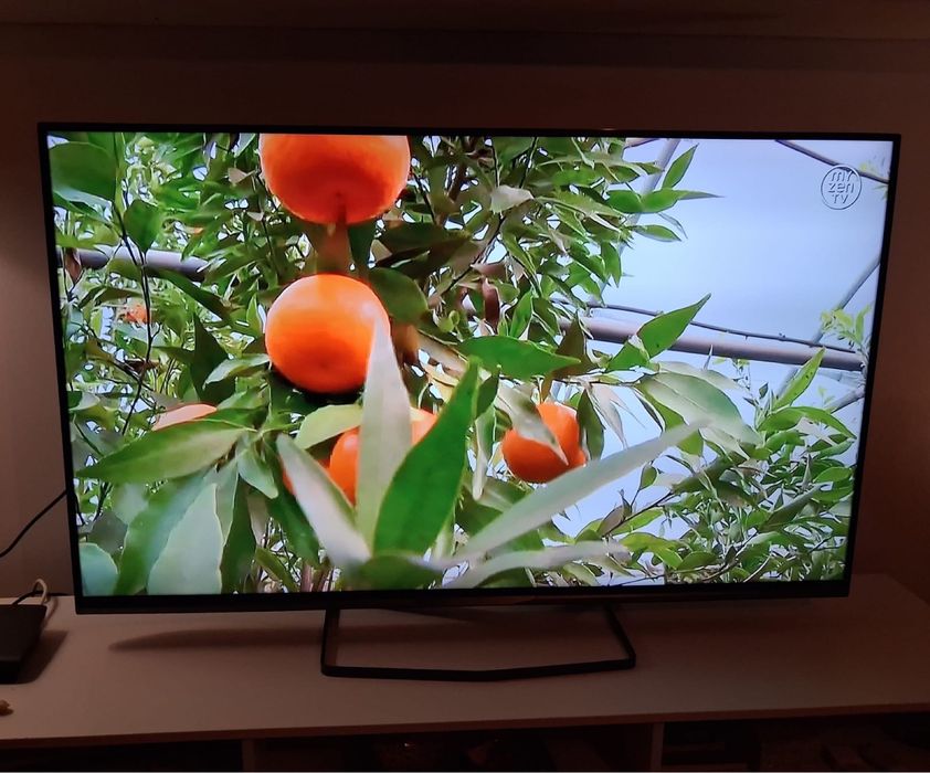Ler descrição Smart TV LG de 49 / philips 58” sansung 40”