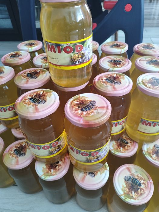 Miód prosto z ula