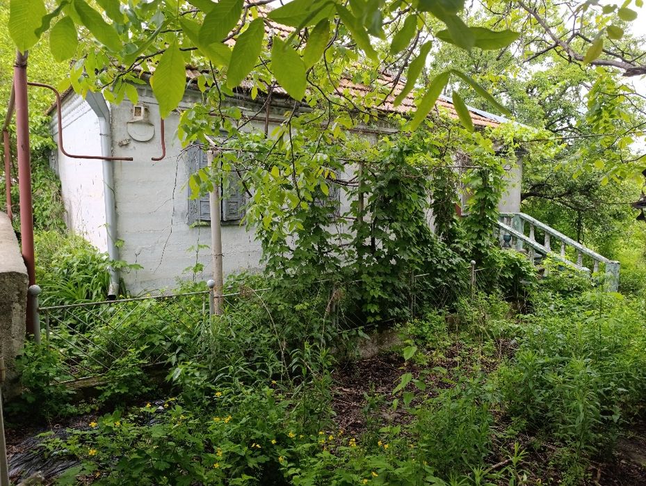 Продам дом в Сухачевке / Таромское / Диевке