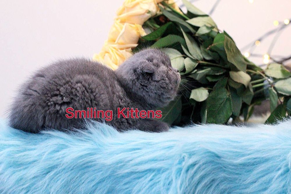 Завжди є куди ще краще