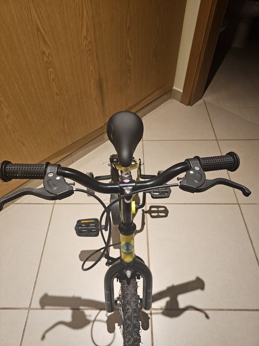 Bicicleta criança roda 14" 4-6 anos - Berg