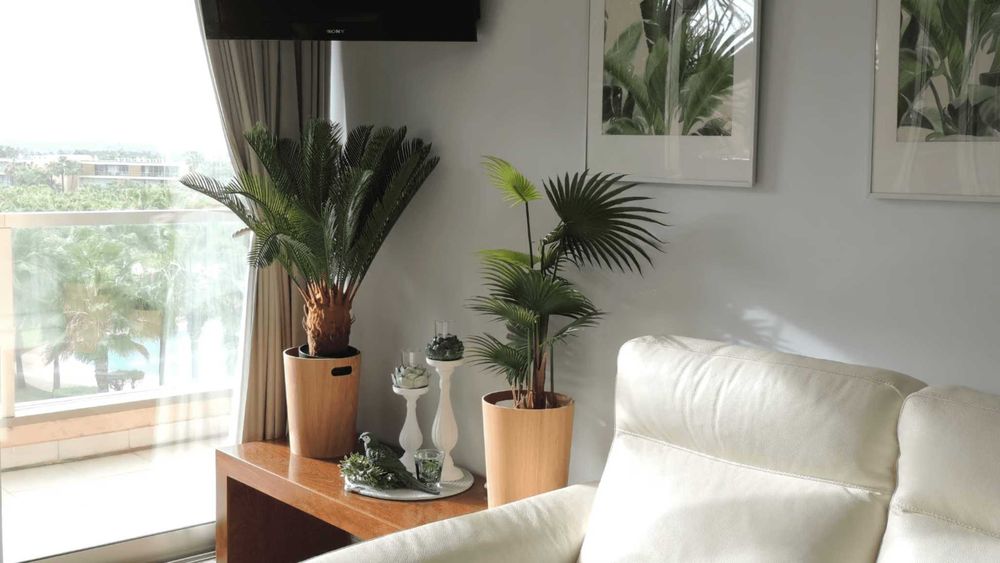 T2 em frente a praia - Salgados Beach Paradise by Gabi Miguel