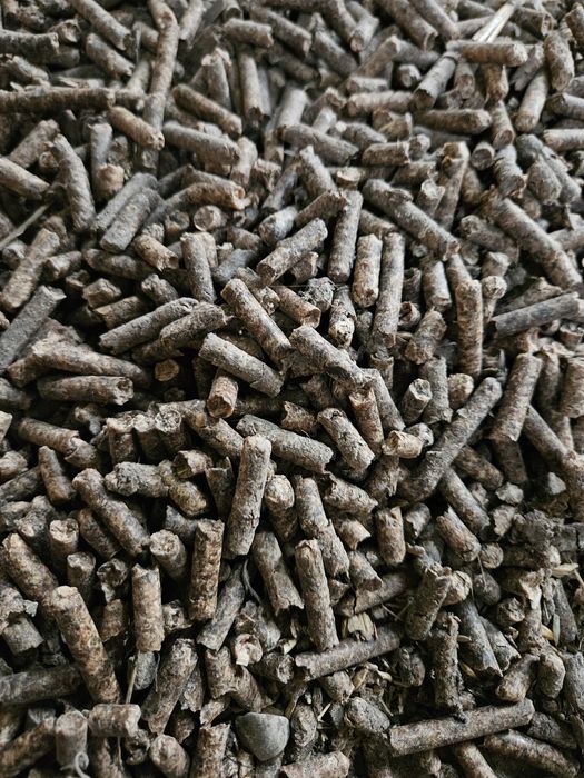 Wysłodki buraczane suche melasowane