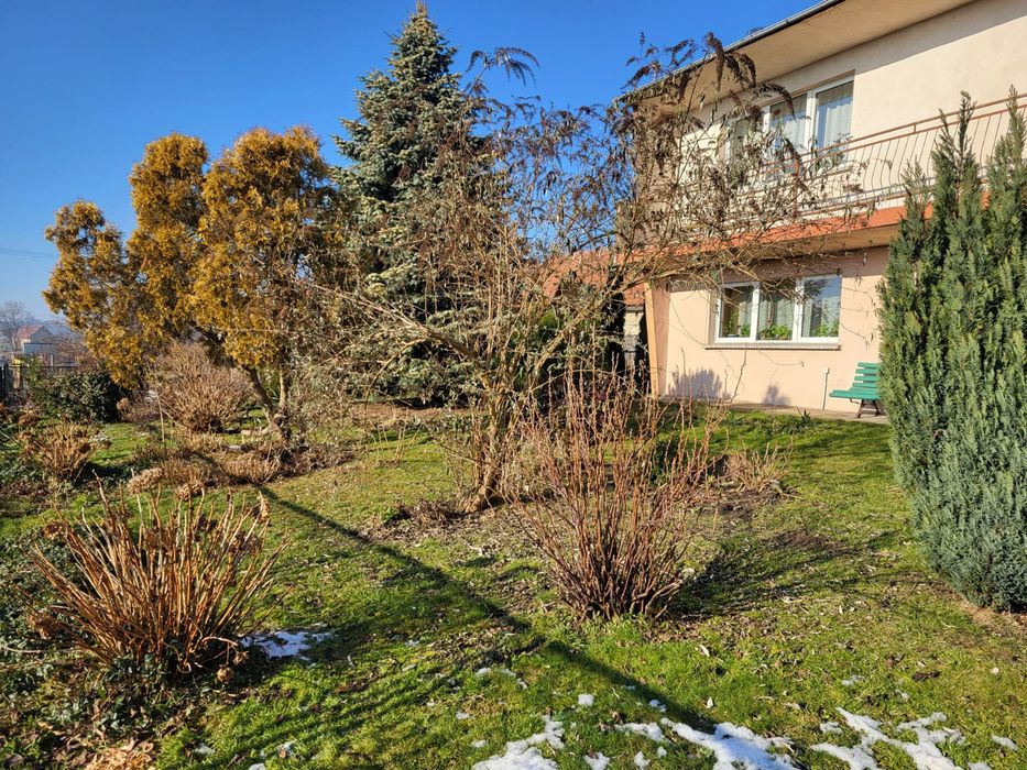 Dom z 14 arową działką - View 3