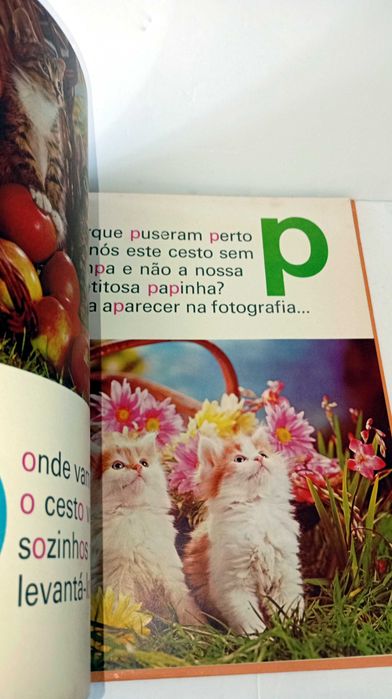 ABC dos Gatinhos