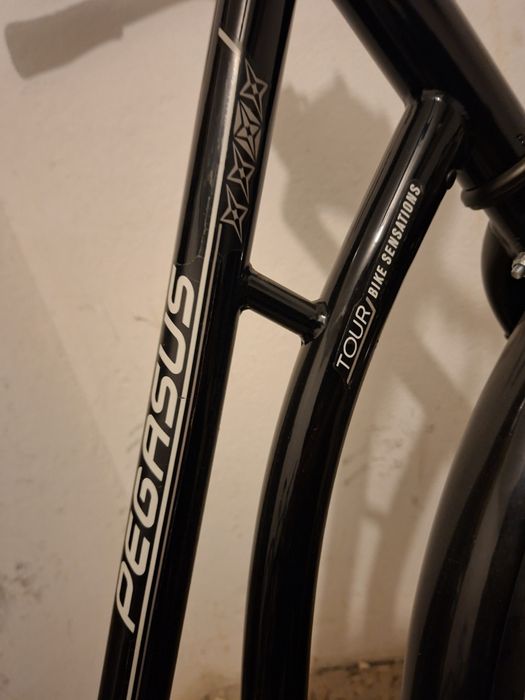 Pegasus Tour Bike Sensation