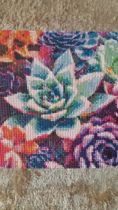 Tela de pintura de diamantes suculentas