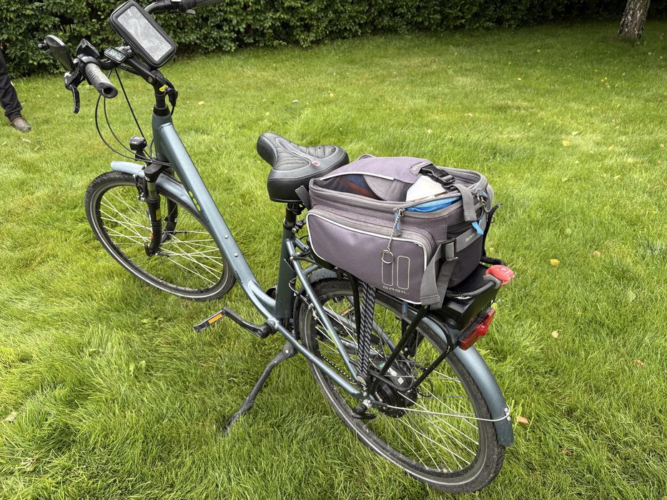 Rower elektryczny EcoBike Traffic Blue