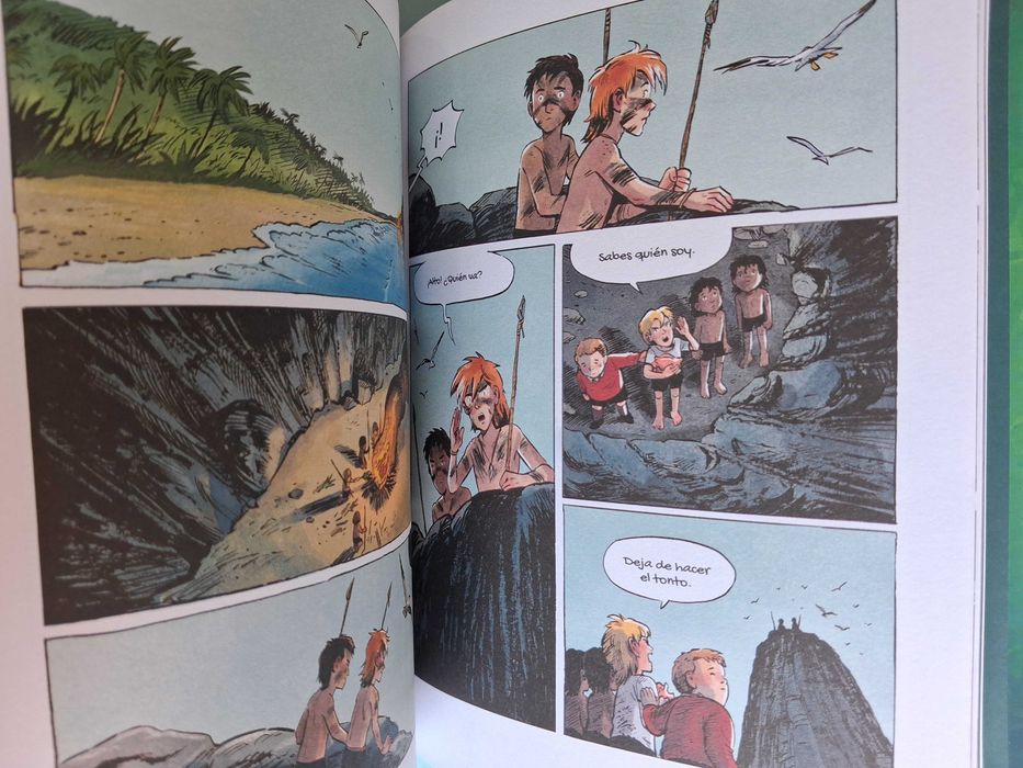 EL SEÑOR DE LAS MOSCAS - Novela Gráfica - Aimée de Jongh , capa dura