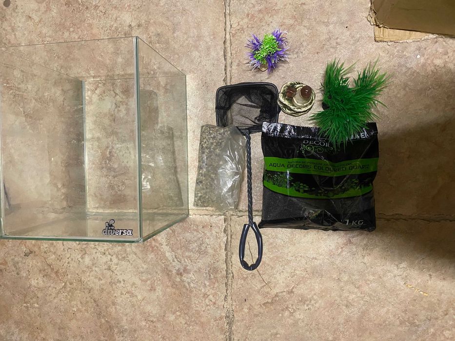 Akwarium 20x20x25 10L + akcesoria