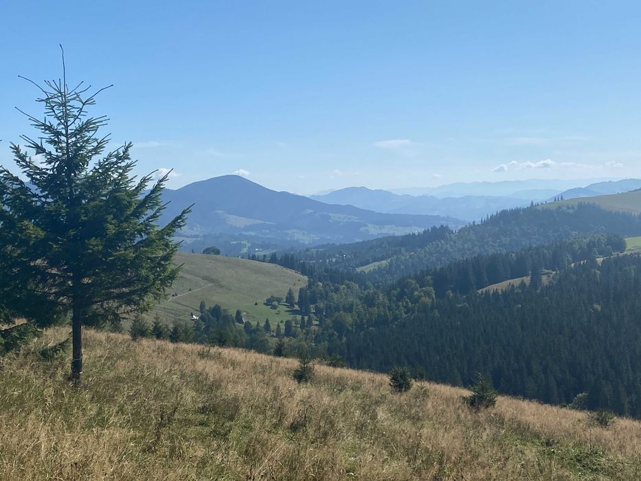 Земля під екопоселення 26 гектарівів