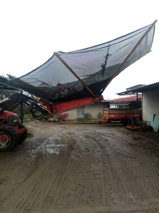 Máquina de azeitona Uma