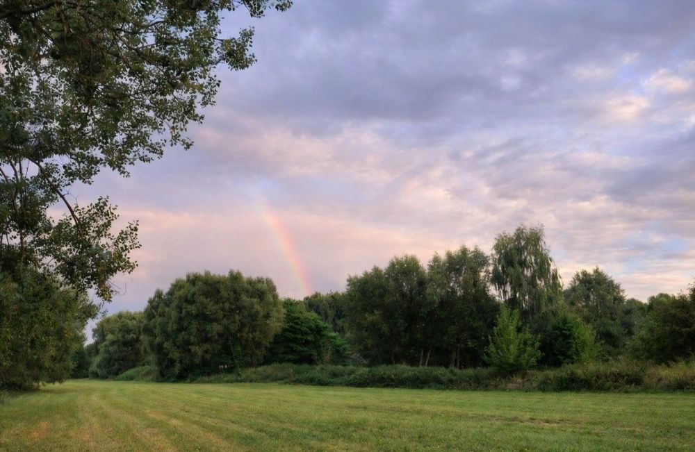 Piękna Działka | Prywatność i Natura | Domek lub inwestycja