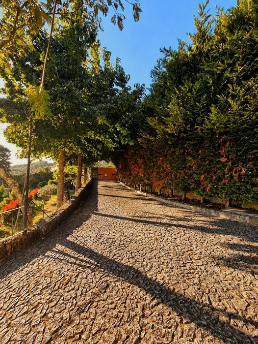 Arrenda-se T1 com Vista Panorâmica sobre o Vale do Ave | Guimarães – 550 €