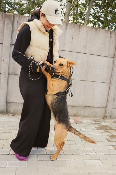 Dwupak Iwo i Dejzi czekają na wspólny dom