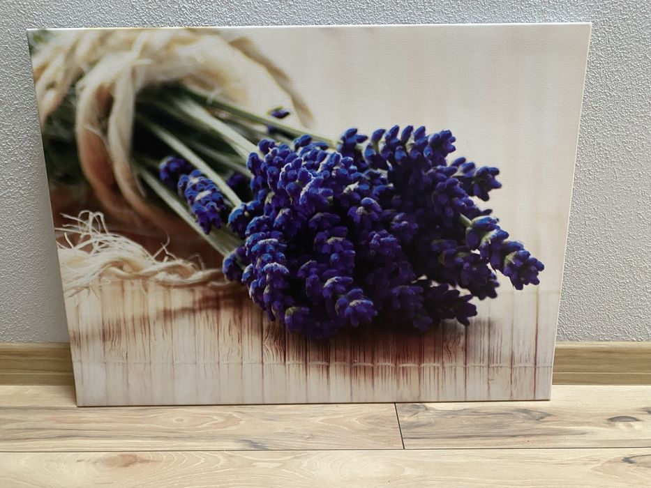 Obraz lawenda 80x60