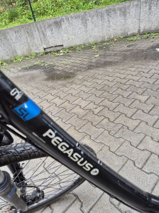 Rower Pegasus po przeglądzie