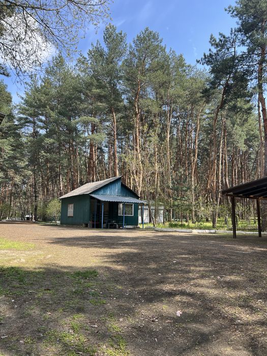 База відпочинку «ДНІПРО» у лісі, біля ріки Орель ПРОДАЖ