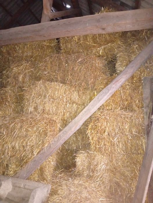 Sprzedam  śćiòłke i belki (kostka)