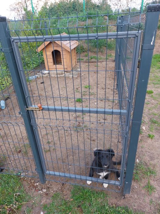 Furtka do ogrodzeń panelowych