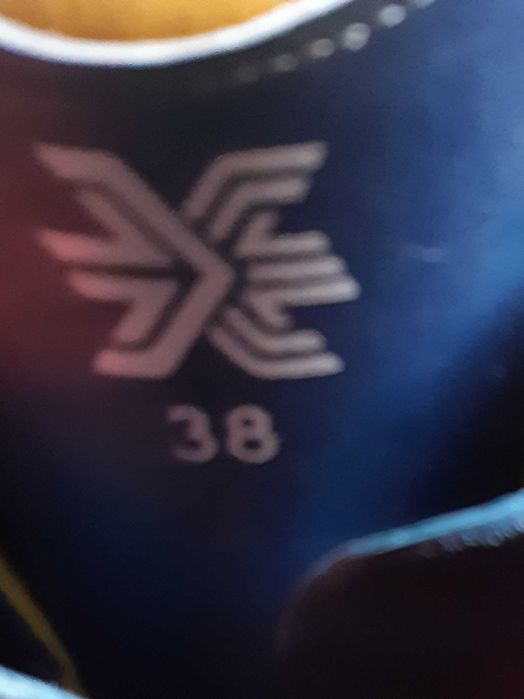 Ботинки лыжные для горных лыж