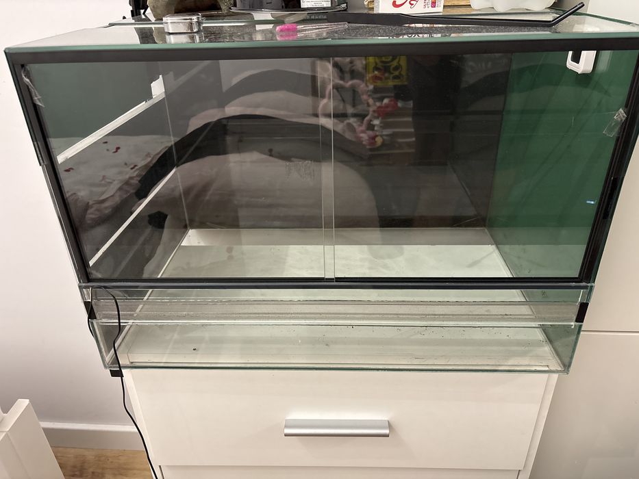 Terrarium dla zwierząt