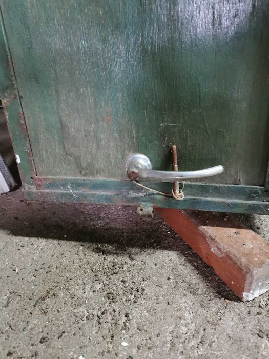 Transportadora de cães