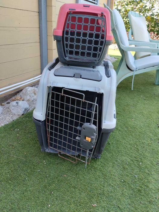 Transportadoras para animais