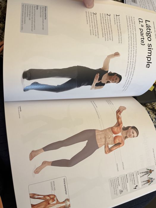 Livro anatomia do taichi