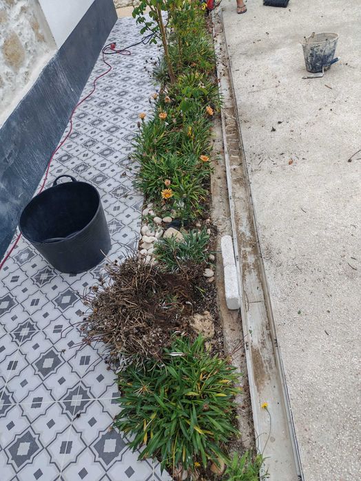 Jardineira Grande Lisboa – Manutenção, Organização de Quintais e Construção de Pequenos Jardins.