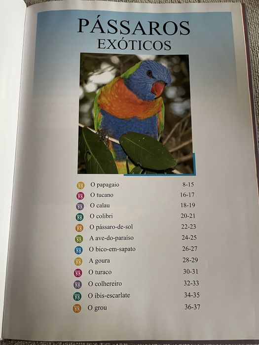 Livro “Pássaros Exóticos” da Girassol