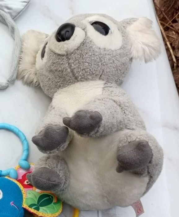 М'яка іграшка TY Beanie Babies  Коала Kookoo 15 см сірий