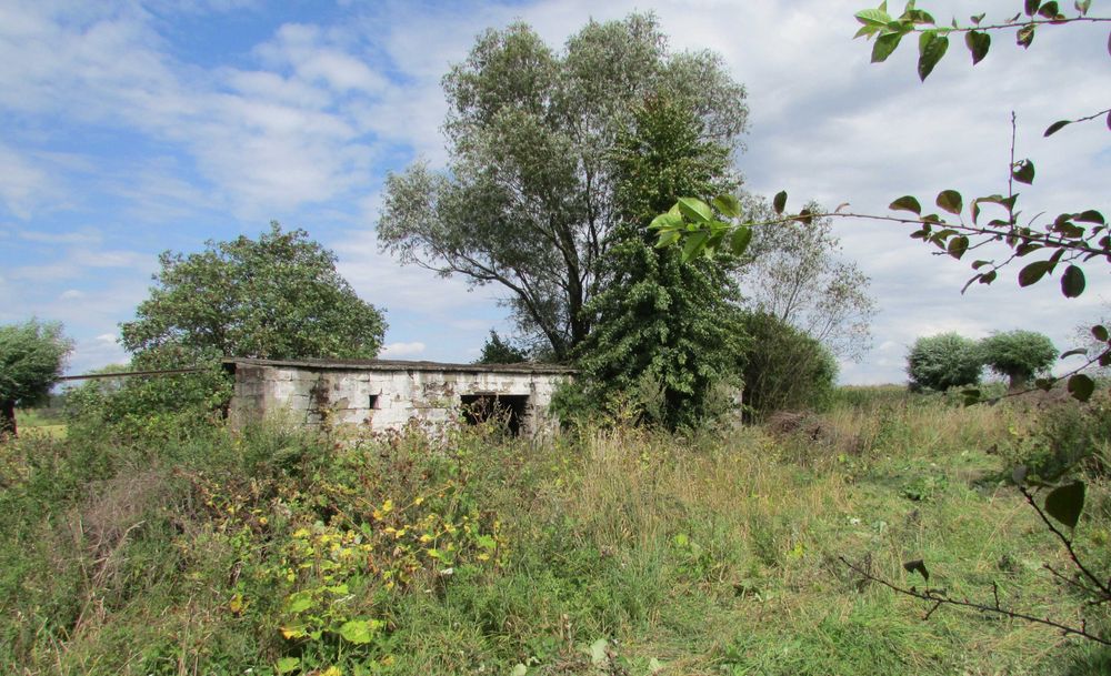 Działka siedliskowa 6,5 ha Brzozów A - Widok 5