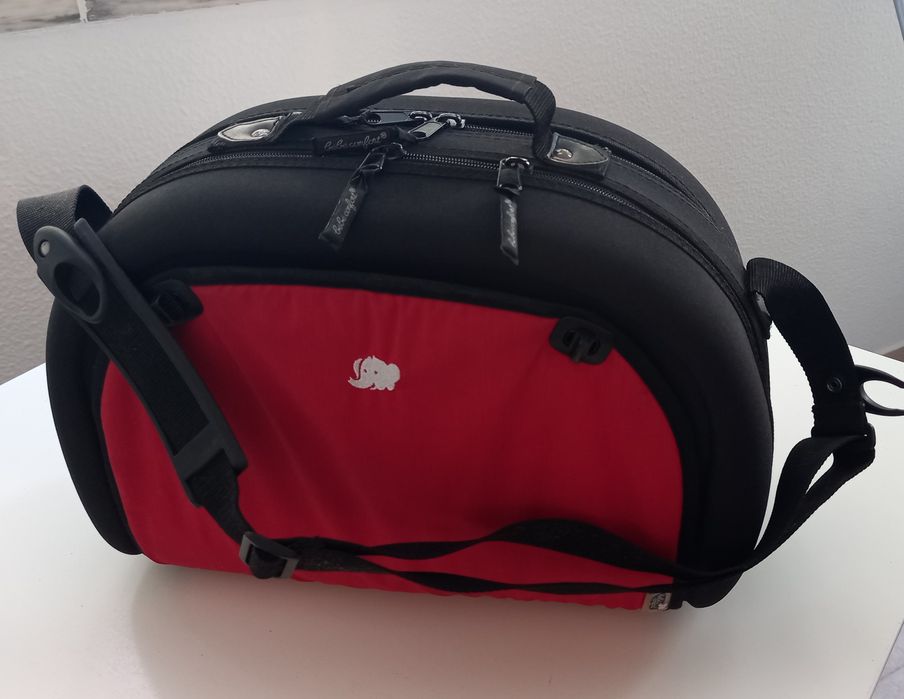 Carrinho de Passeio completo