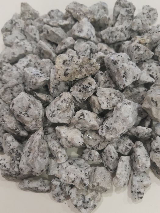 GRYS kamień dekoracyjny granit granitowy otoczak dalmatyńczyk. 20kg