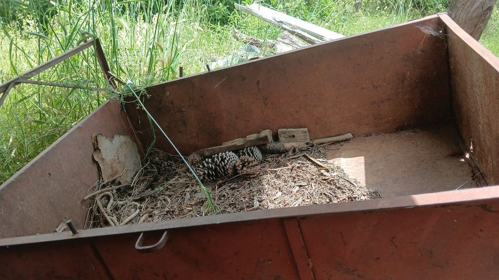 Carroça em ferro