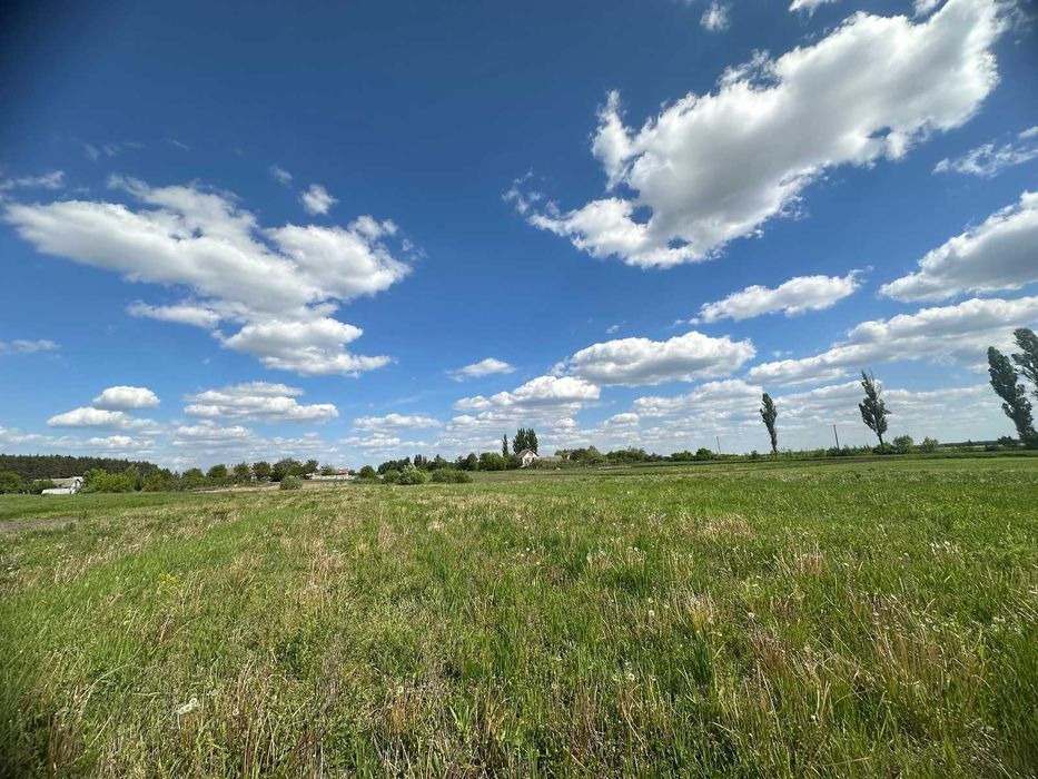 Продається земельна ділянка в Сосонці