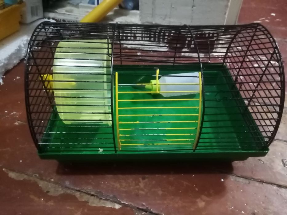 250 Olx