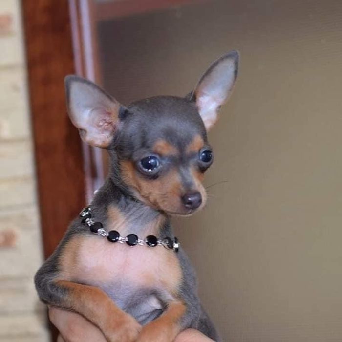 Красавчик мальчик!