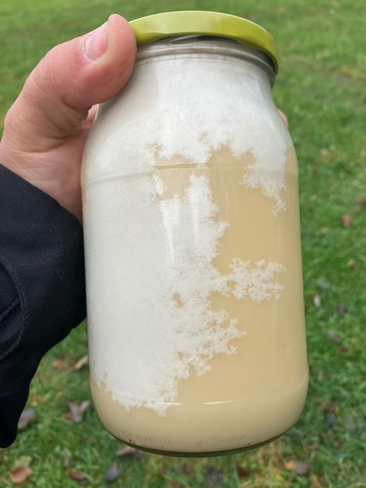 Miód wielokwiatowy 0,9L