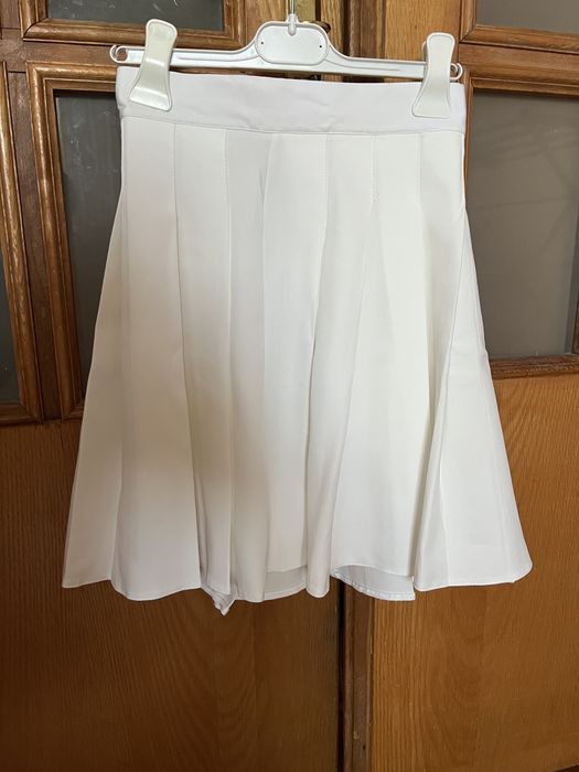 Спілниця плісе