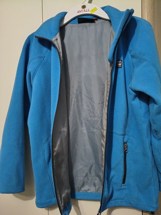 Kurka polar niebieski