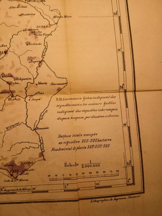 Mapa - Carte Viticole du Portugal, Cincinnato da Costa 1900