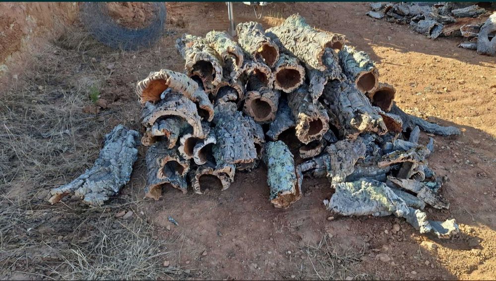 Tubos de cortiça 100% natural – Ideal para terrários e decoração