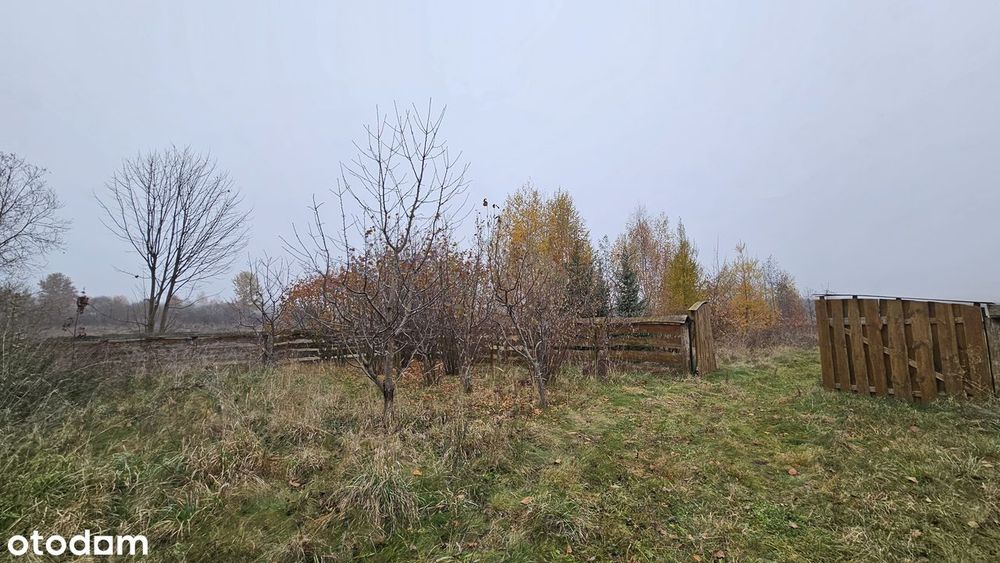 Działka 21900 m² - Widok 5