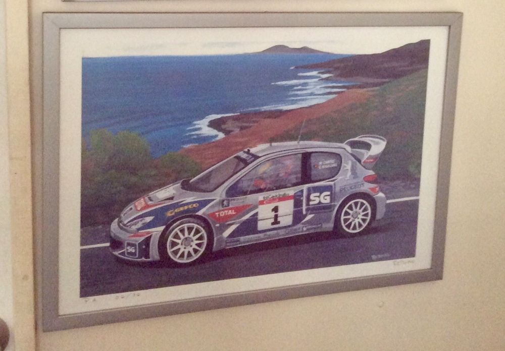 Peugeot 206 WRC Miguel Campos / Carlos Magalhães de Redwan Cassamo