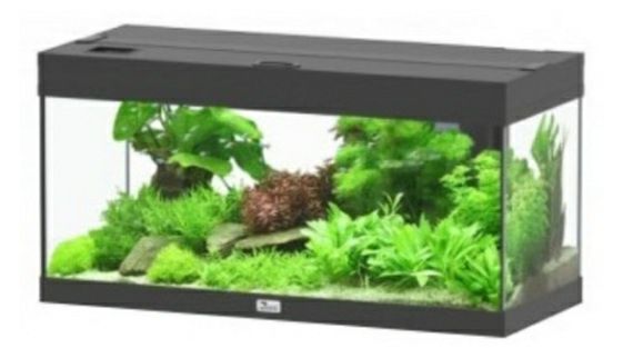 Aquarios de diversos tamanhos