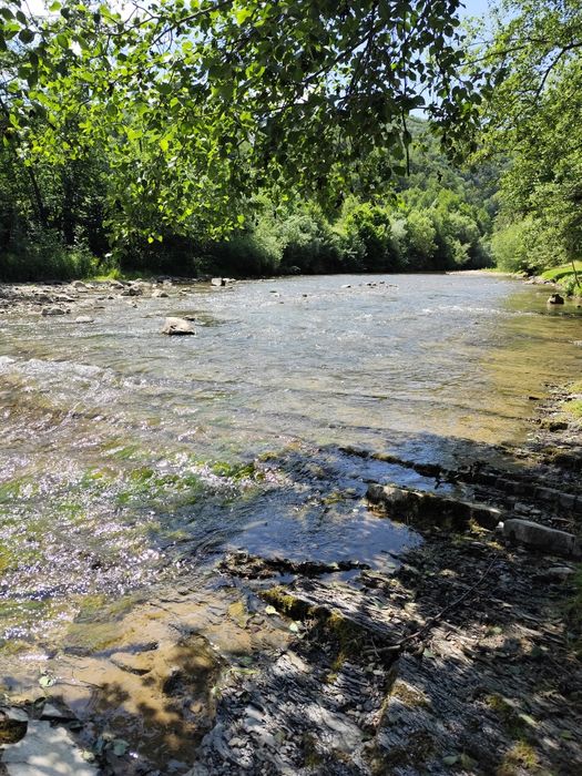 Продаж земельної ділянки в самому центрі села Шешори! Неподалік річка