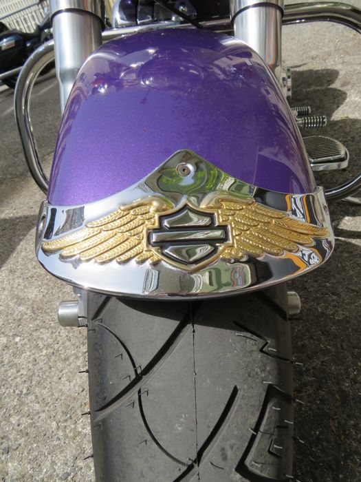 Harley-Davidson Fatboy 1996 (Evolution Engine)
